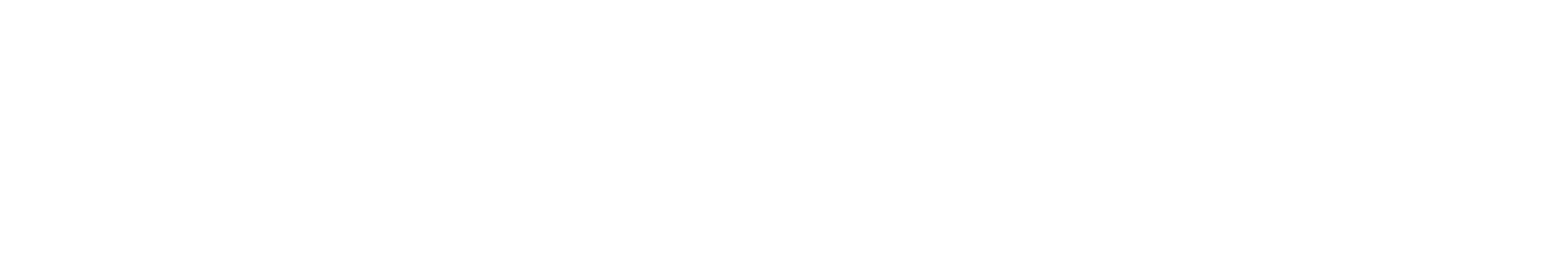 KY & PARTNERS